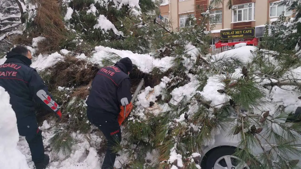 Kocaeli'de fırtına, ağaçlar devrildi, herkes korkuyor! Kocaeli'de fırtına, ağaçlar devrildi, herkes korkuyor!